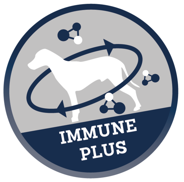 Immune_Plus_Hund_EN