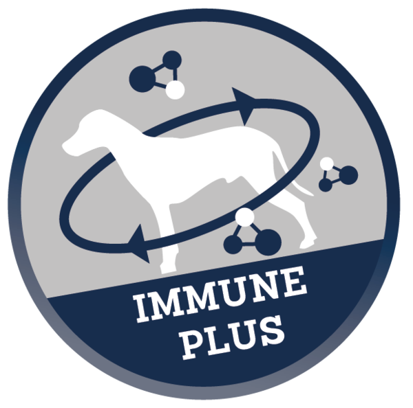 Immune_Plus_Hund_EN Immune_Plus_Hund_EN