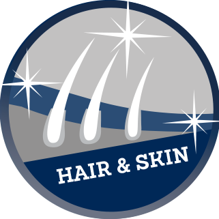 Hair-und-Skin Hair-und-Skin