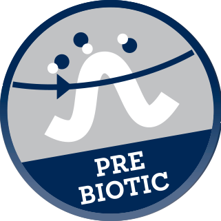 Pre-Biotic